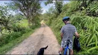 Walking Adventures | San Jorge Tandayapa Cloud Forest 🌿🚶&zwj;♂️