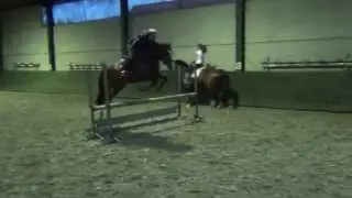 4-jarig sportpony