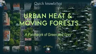Urban Forests: Real Solution or Patchwork Fix?