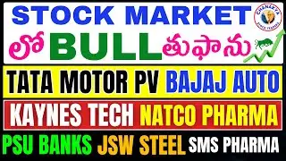 Stock market లో తుపాన్ ,Tata motor Pv,Sms Pharma,Jsw steel,PSU banks,Kanes tech,Bajaj Auto,Nifty