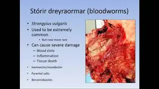 Equine helminth parasites   epidemiolgy, diagnostics, anthelmintic resistance, and disease   Martin