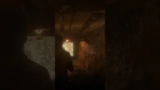 Secret stash of money under St. Denis in RDR2