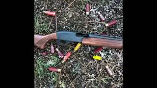 20ga for Survival - Hunting, Fighting & Defense