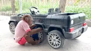 CUTIS Personally Services His Supercar Before His Next Adventure