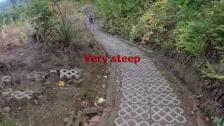 cavanaugh trail (Walker Valley), Nov 2022