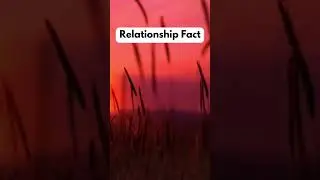 Part 62 #Relationshipfact In a happy relationship both partners... #fact #women #men #foryou