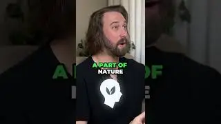 Unlocking Your Mind: The Power of Human-Nature Connection! 🌳