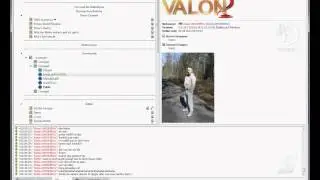 Beleidigung und Rassistisch Auf Valon2.
