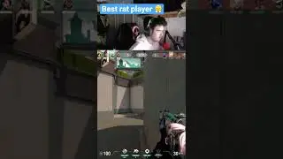 Best rat player in the game #valorant #shorts #valorantclips