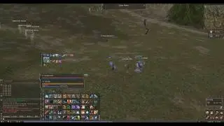 Lineage 2 Classic NA Giran Server Necromancer xping at 66 lvl