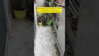 After 10 days the balcony condition became like this , lets clean it together #cleaning #balcony
