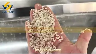 Twin screw artificial rice making extruder production line