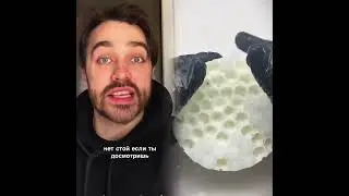 ASMR Plastic Toy Clicking #shorts