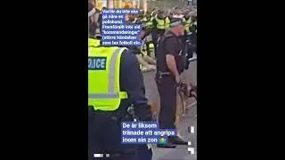 Varf&ouml;r du inte ska g&aring; n&auml;ra en polishund..