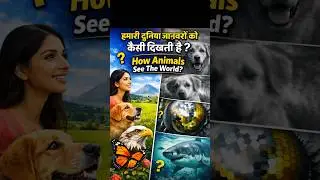 😲जानवरों की आंखों से देखो दुनिया |Animal Vision Explained🦅#shorts #facts #animals