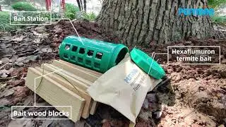 Termite colony Elimination System
