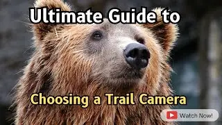 🎥 Trail Cams: Your Ultimate Buying Guide! 🦌📸