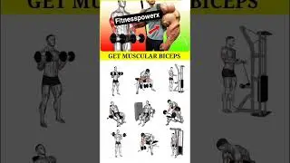 Muscular Biceps Workout | Get Bigger Arms Fast