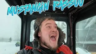 MUSTANGIN RASSUU. TÄN EI TEORIAS PITÄS ENÄÄ TOIMIA