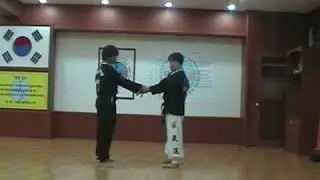 Old style Hapkido Techniques