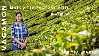 Vagamon Masco Tea Factory Visit - தமிழில் 🍵🤩 #tamil