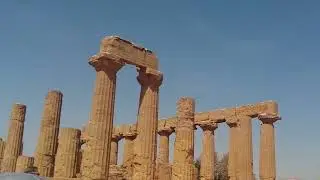 Sicily 2023 Monkeys On The Road