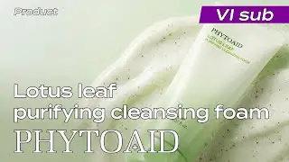 [Phytoaid][파이토에이드][제품][VI] 