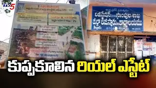కుప్పకూలిన రియల్ ఎస్టేట్ | Real Estate Business Collapsed in Nellore | TV5 News
