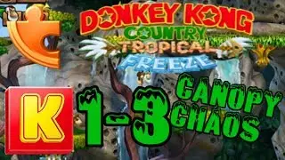 Donkey Kong Country Tropical Freeze: 1-3 Canopy Chaos 100% Guide (SECRET EXIT)