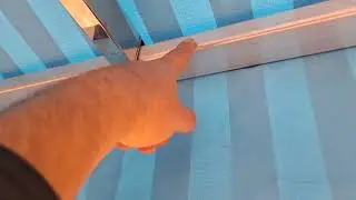Barraca de Pastel Profissional Inox (DICAS E DETALHES)