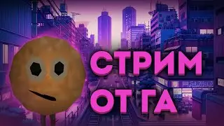 ПРЕСС-КОНФЕРЕНЦИЯ С КРАСНОЙ АДМИНИСТРАЦИЕЙ [ARIZONA ONLINE]