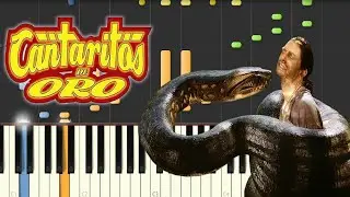 Cantaritos de Oro - LA ANACONDA / Synthesia Cover / Instrumental 