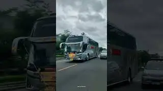 Story'wa Bus pariwisata tiger bus 
