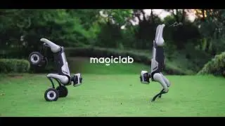 It Rolls. It Runs. It Conquers - Meet MagicDog-W robot!