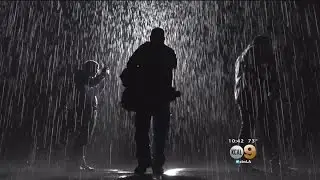 New Exhibit At LACMA Creates Interior Downpour, But No One Gets Wet