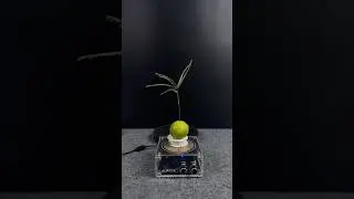Tesla coil + plants