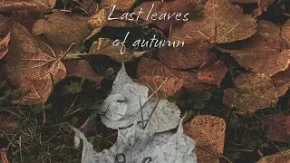 Last Leaves of Autumn ~ Zleepyfred song lyrics🍁🌿Lol I'm the first to release the lyrics of this song