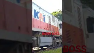 bader jalan jalan di d8