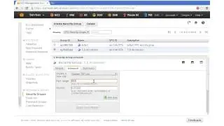 Security Groups for TLS Accelerator