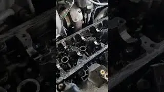 Vw broken timing belt need to change just this.