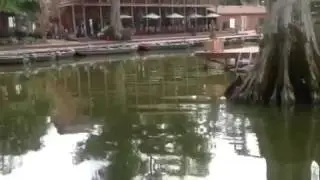 Bluebank resort