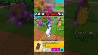 Planting Cocotank Seed in Plants vs BrainrotJandel's new game #roblox #plantsvsbrainrot #ayeshavilla