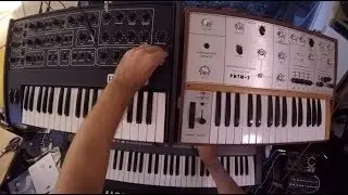 First person synth jams! EP7: Deep house with a TR-707, Polivoks, Juno-106, and a Pro-One
