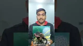 FERTILIZATION IN ANIMALS 😱 | REPRODUCTION | Class 10
