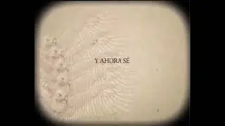 Amaral - Cuando Suba la Marea (Lyric Video)