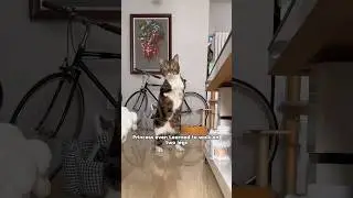 she named it 