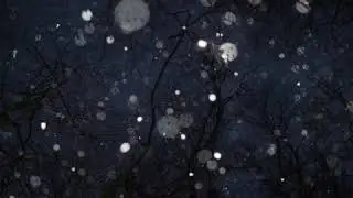 GreenNavy - Usan (Radio Edit)