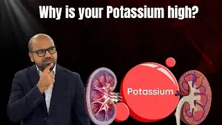 What's REALLY Causing High Potassium in Winter | Episode 298