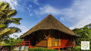 Yasuni Tour Ecolodge Amazon Rainforest Ecuador