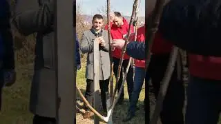 Krositja fidanit 2 vjeqar prof Dr Vahid Avdiu.